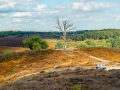 18-nldazuu_fotografie_Augustus-20180811