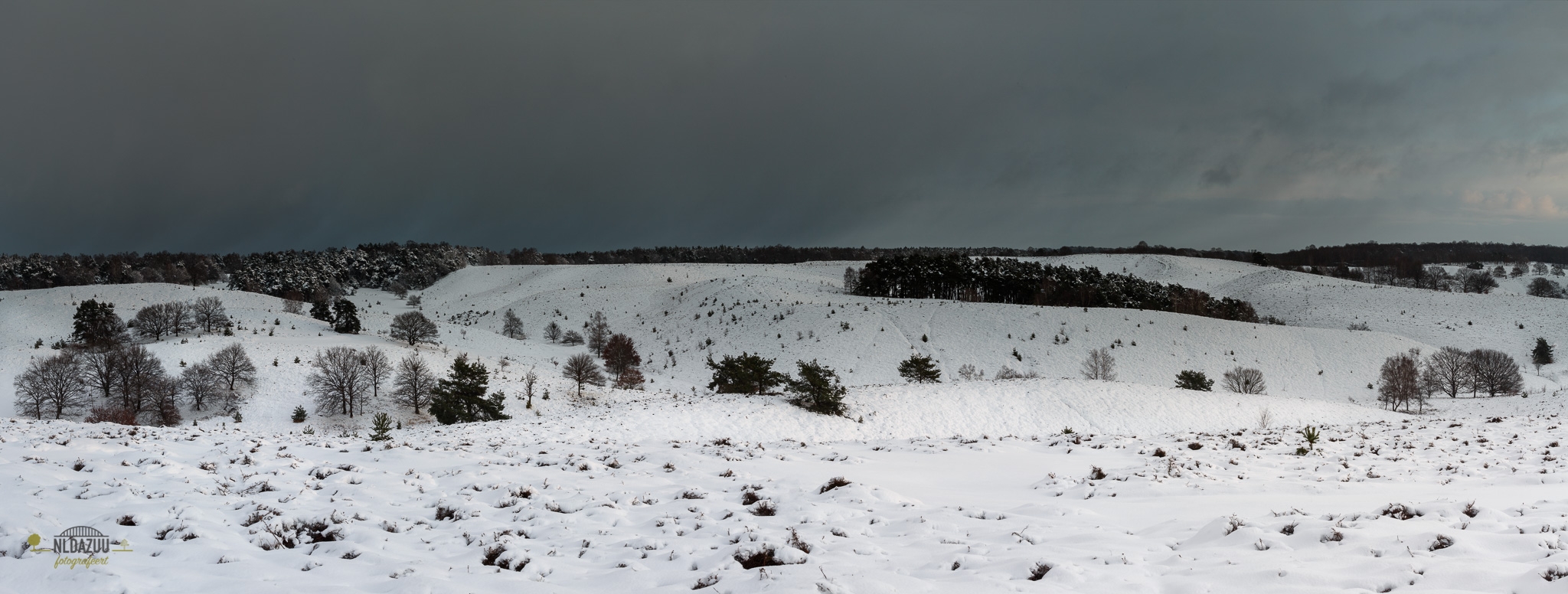 Winter panorama van de Posbank met op de achtergrond een winterse bui