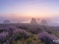 Nationaal Park Maasduinen