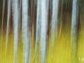 ICM_0003