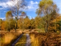 Herfst_20161030 (10 of 27)
