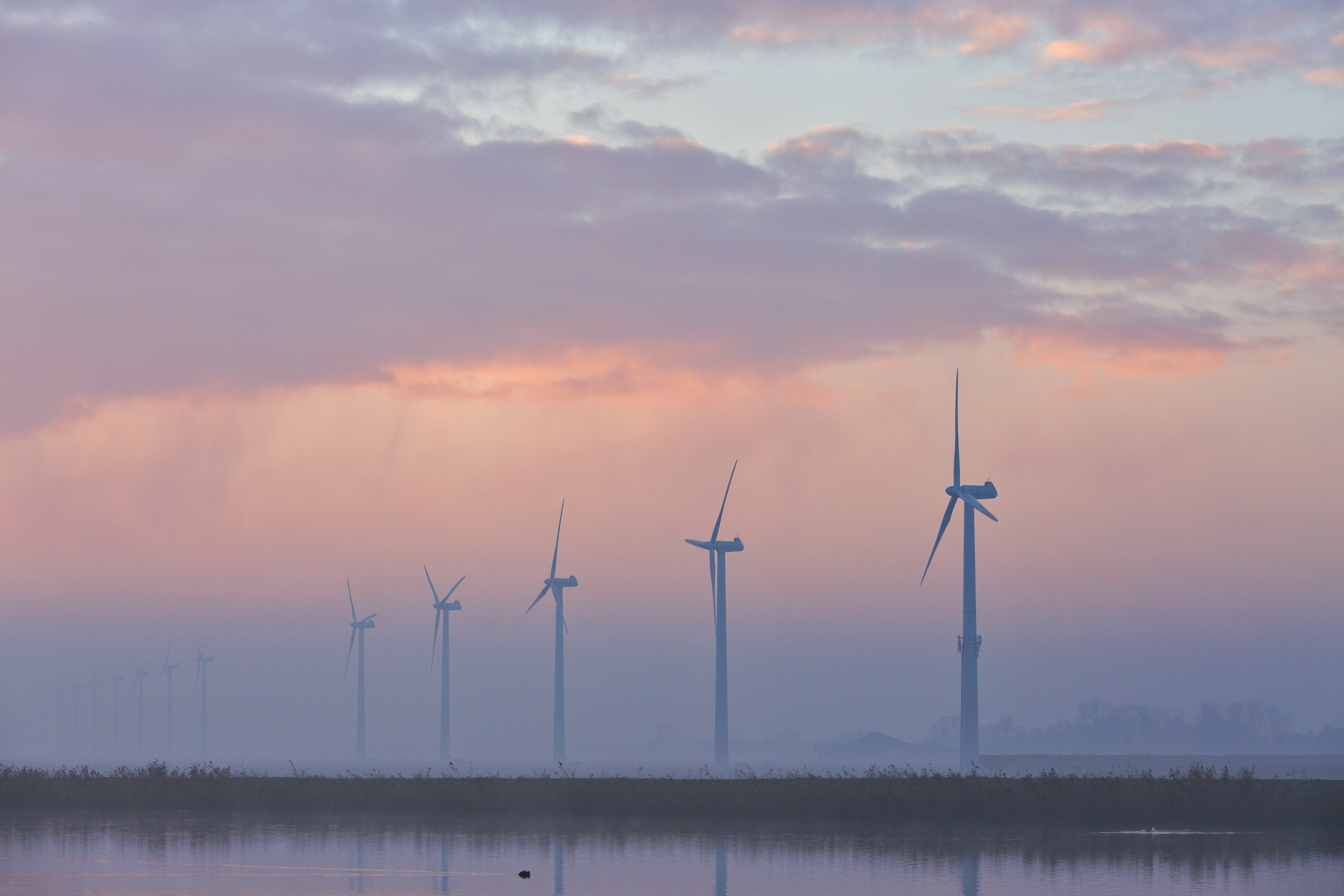 Windmolen uit de mist bij Schagen tijdens zonsopkomst