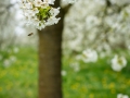 _Dag37_nldazuu50mmchallenge__20