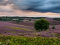 Posbank ook mooi in de avond