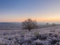 nldazuu_Posbank_Winter-1