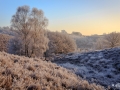 nldazuu_Posbank_Winter-9