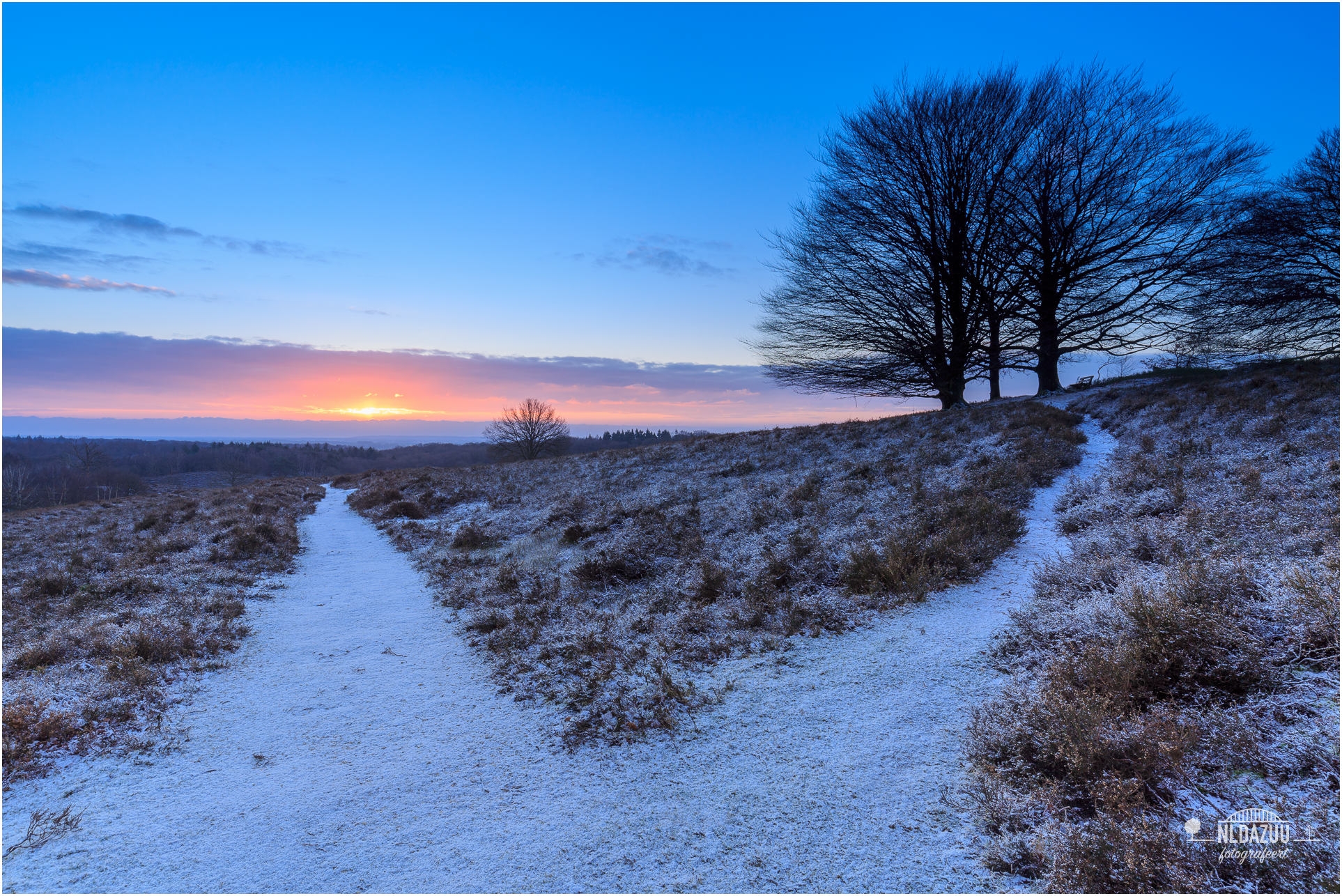 Posbank, Veluwezoom in winterse sfeer