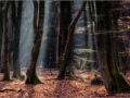nldazuu_fotografeert (16 van 16)