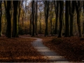 nldazuu_fotografeert (2 van 16)
