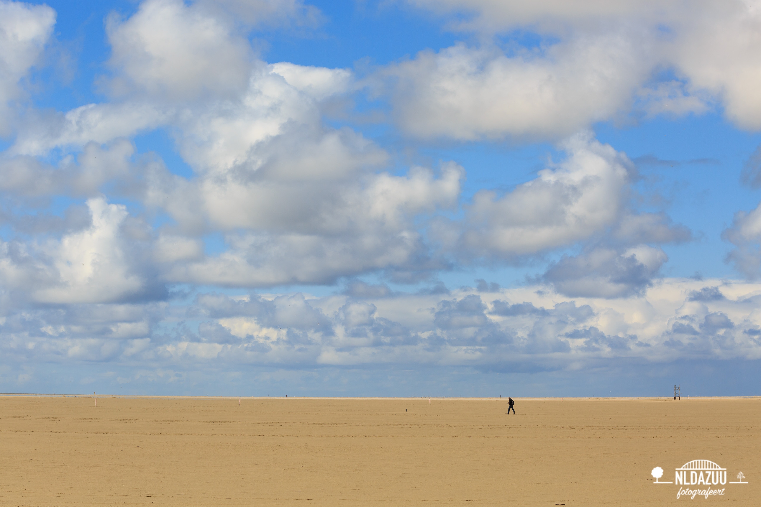 Wandelaar op het Texelse strand bij de Horsjes