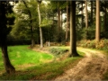 Walking in Wonder (20 van 78)