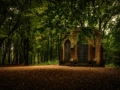 nldazuu_walking_in_wonder (22 van 78)