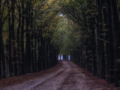 nldazuu_walking_in_wonder (67 van 78)