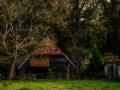 nldazuu_walking_in_wonder (76 van 78)