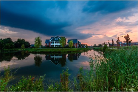 Should I Stay, or Should I Go?