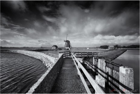 Black and white are the colours of photograph