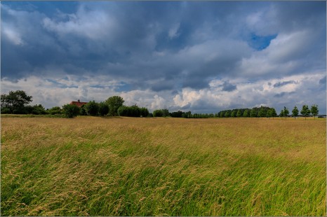 Grasland bedekt met wolken