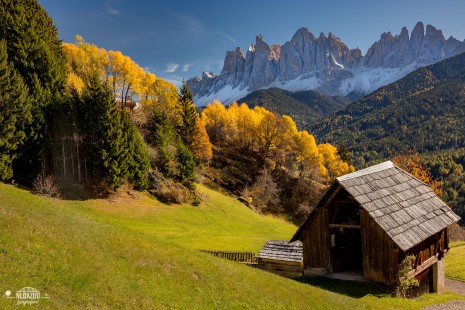 Maximum Autumn in the Italian Dolomites