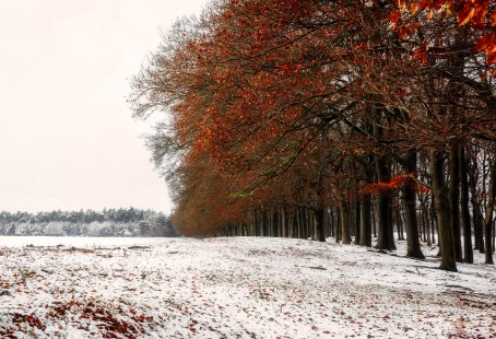 When winter meets autumn