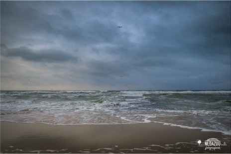 The North Sea (Texel)