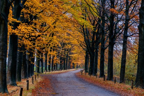 The late Autumn road on a rainy day