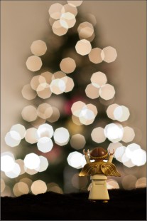 My Light Angel.....Santa Lucia