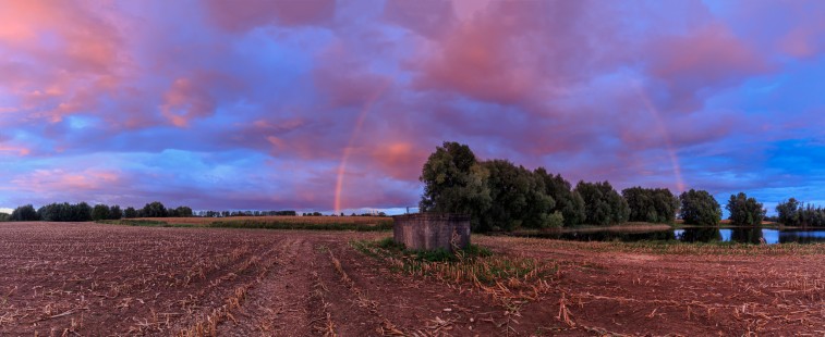 de Grote Bloem @Sunset