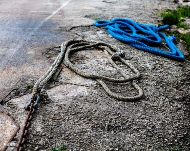 Dag_47_nldazuu50mmchallenge_8