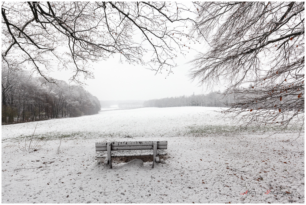 Winter, Mariëndaal, Arnhem, sneeuw, zitbank