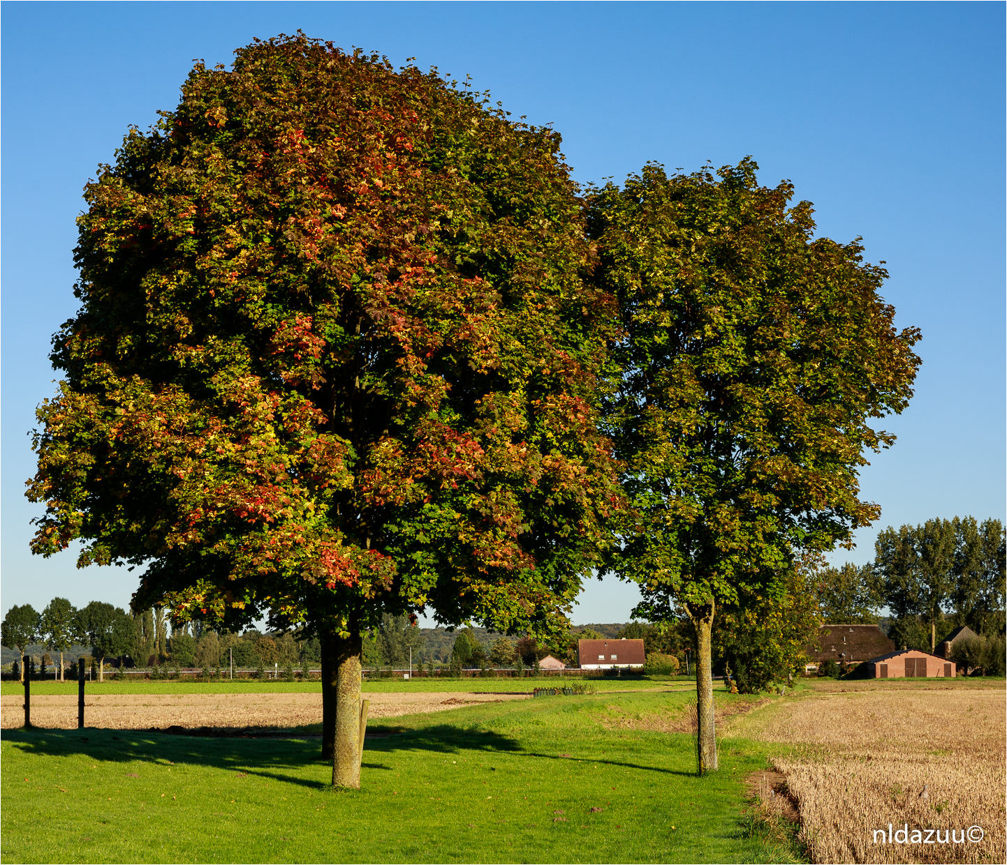 Arnhem, dave zuuring, Drielsedijk eo., Gelderland, Lucht, Vorege herfst, Drielsedijk eo., Driel, dijk, herfstkleuren, bomen, tree, westerbouwing,