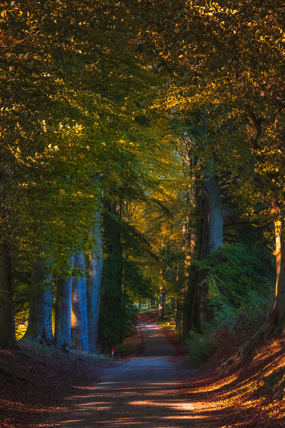 Mariëndaal, Arnhem, Klarenbeek, Herfst, Oktober, nldazuu fotografeert, autumn, fall, herfst