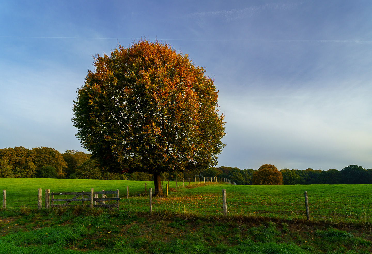 Arnhem, Klarenbeek, Herfst, Oktober, nldazuu fotografeert, autumn, fall, herfst