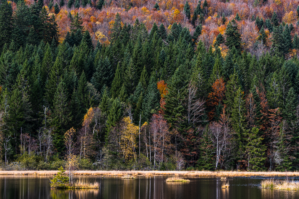 lac de lispach, Vosges, France