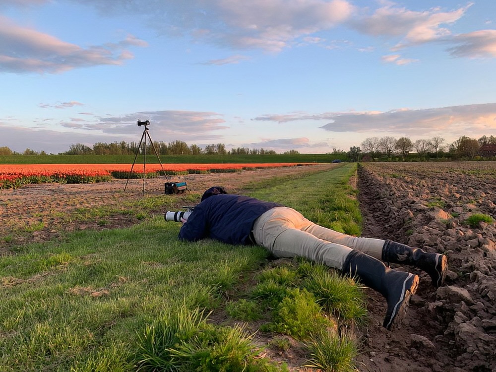 Fotograaf op de grond bij tulpenveld
