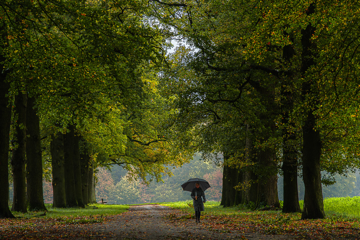 Wandelaarster in de regen 