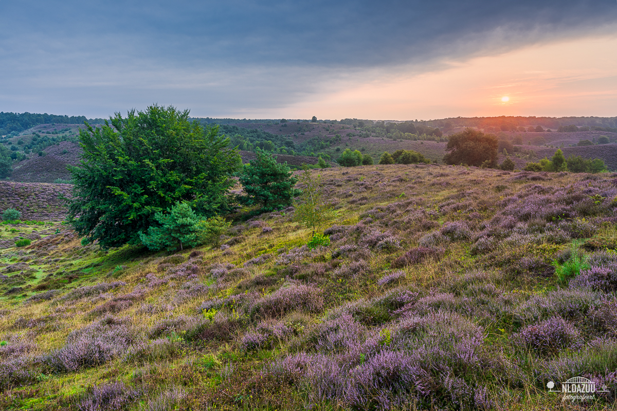 Zonsopkomst ter hoogte van de Kraaijenberg op de Posbank 2024