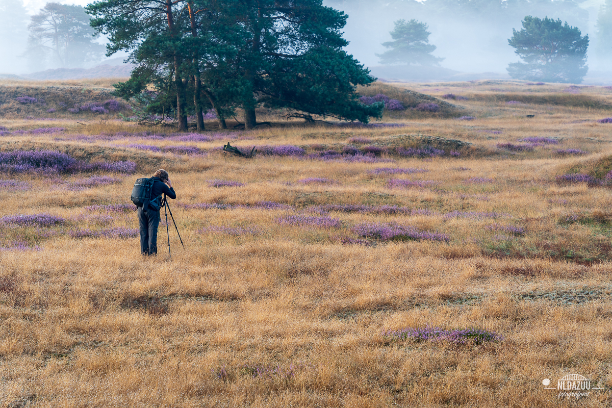 Fotograferende fotograaf in natuur