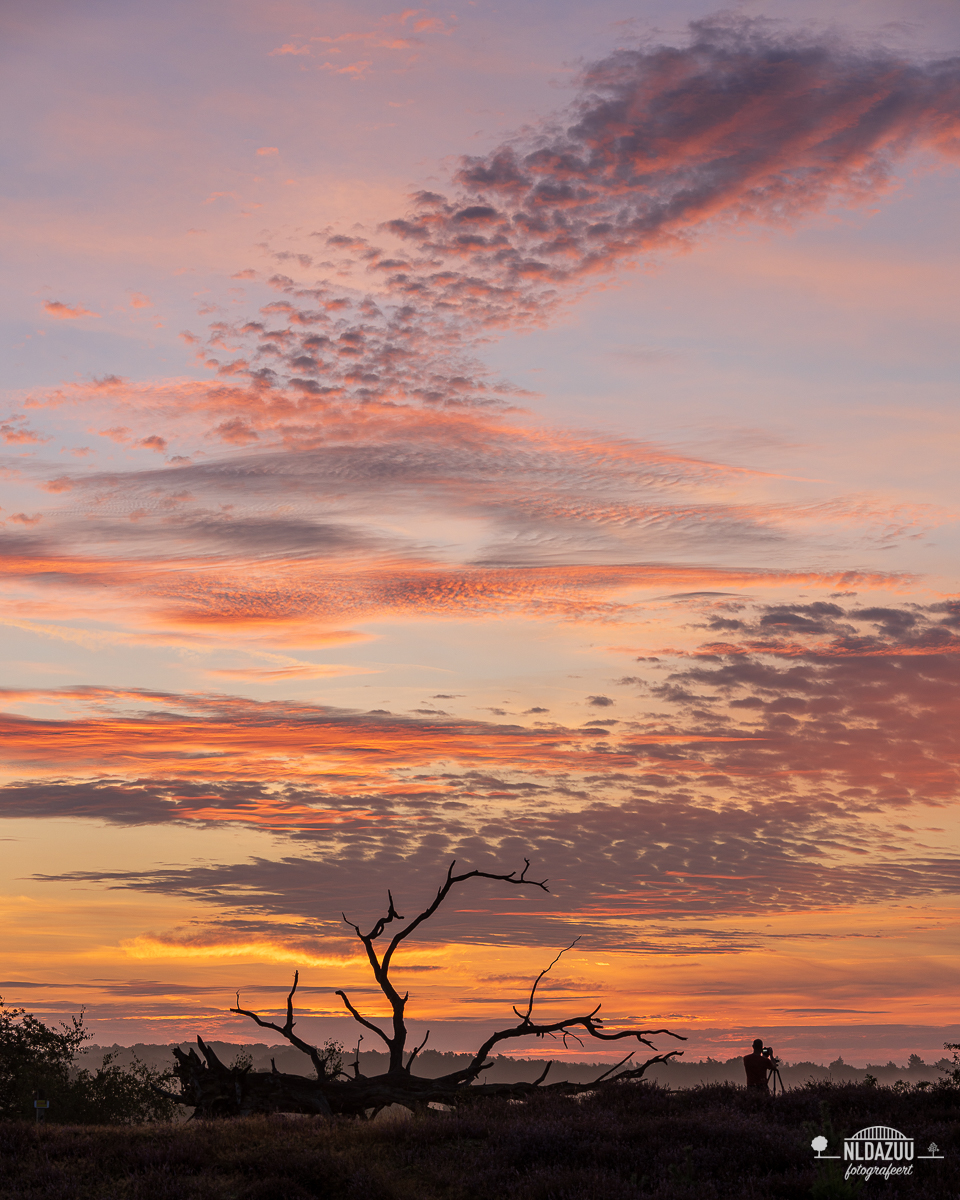 Kleurrijke zonsopkomst