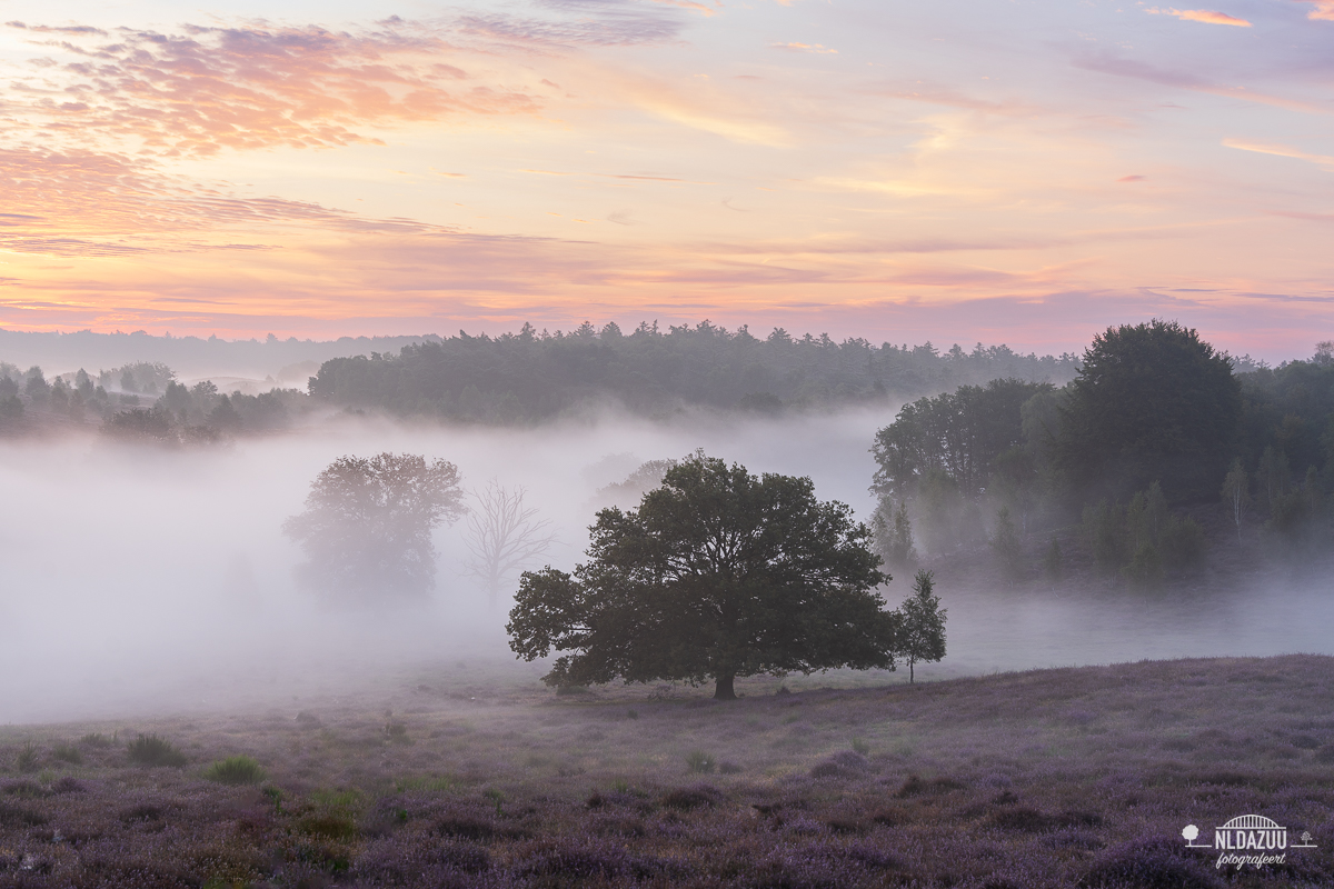 Posbank, Herikhuizerveld tijdens zonsopkomst 2024