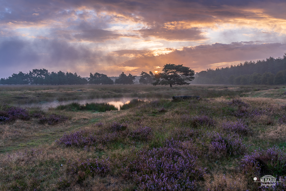 Hessensgat, Terletse heide zonsopkomst en oplossende lage bewolking