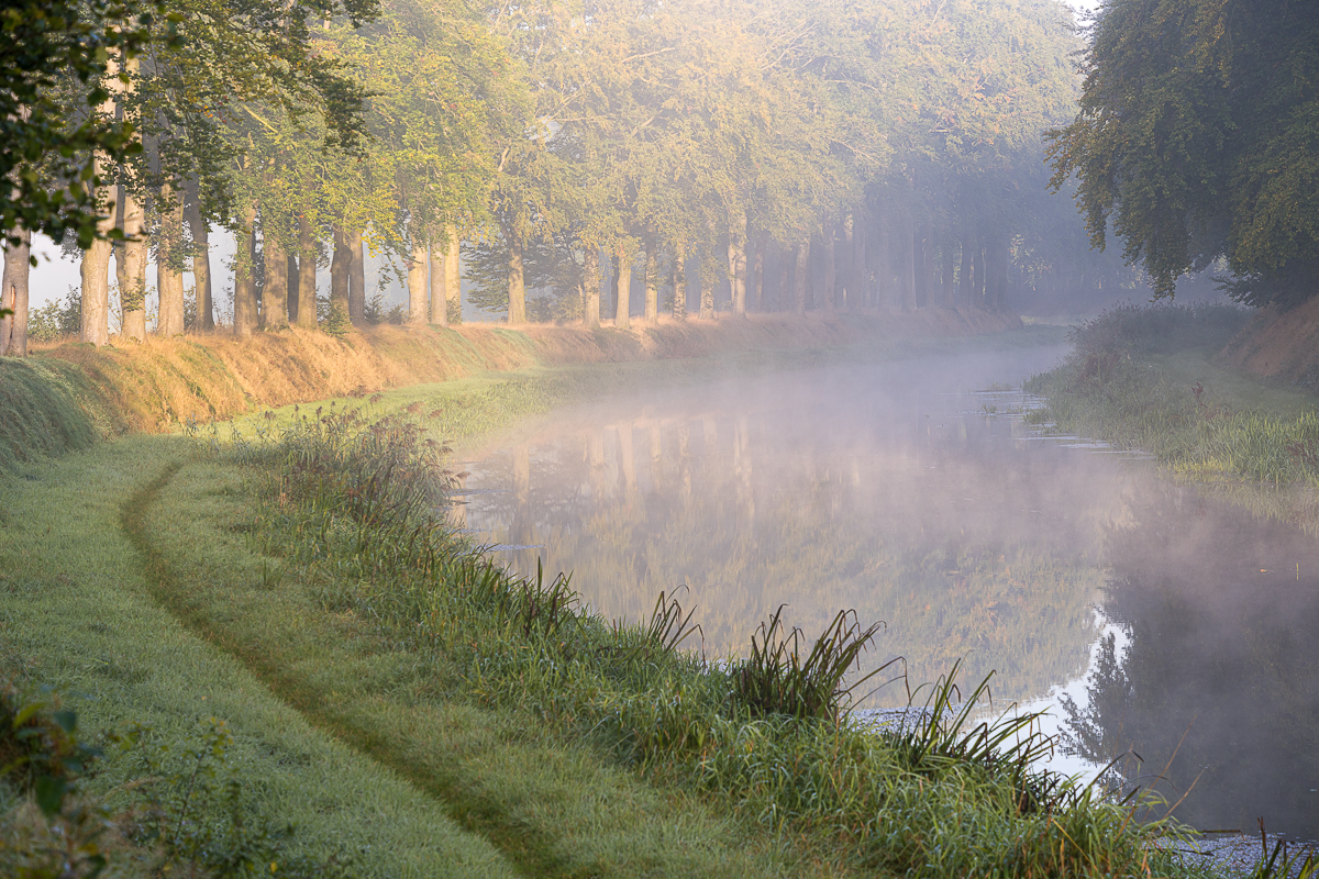 Mist boven de Schipbeek