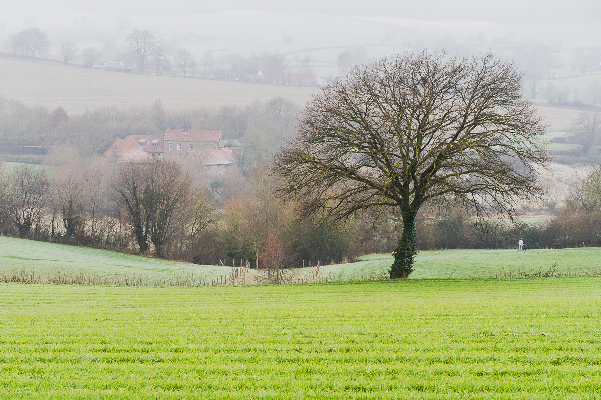 In de Zuid-Limburgse heuvels