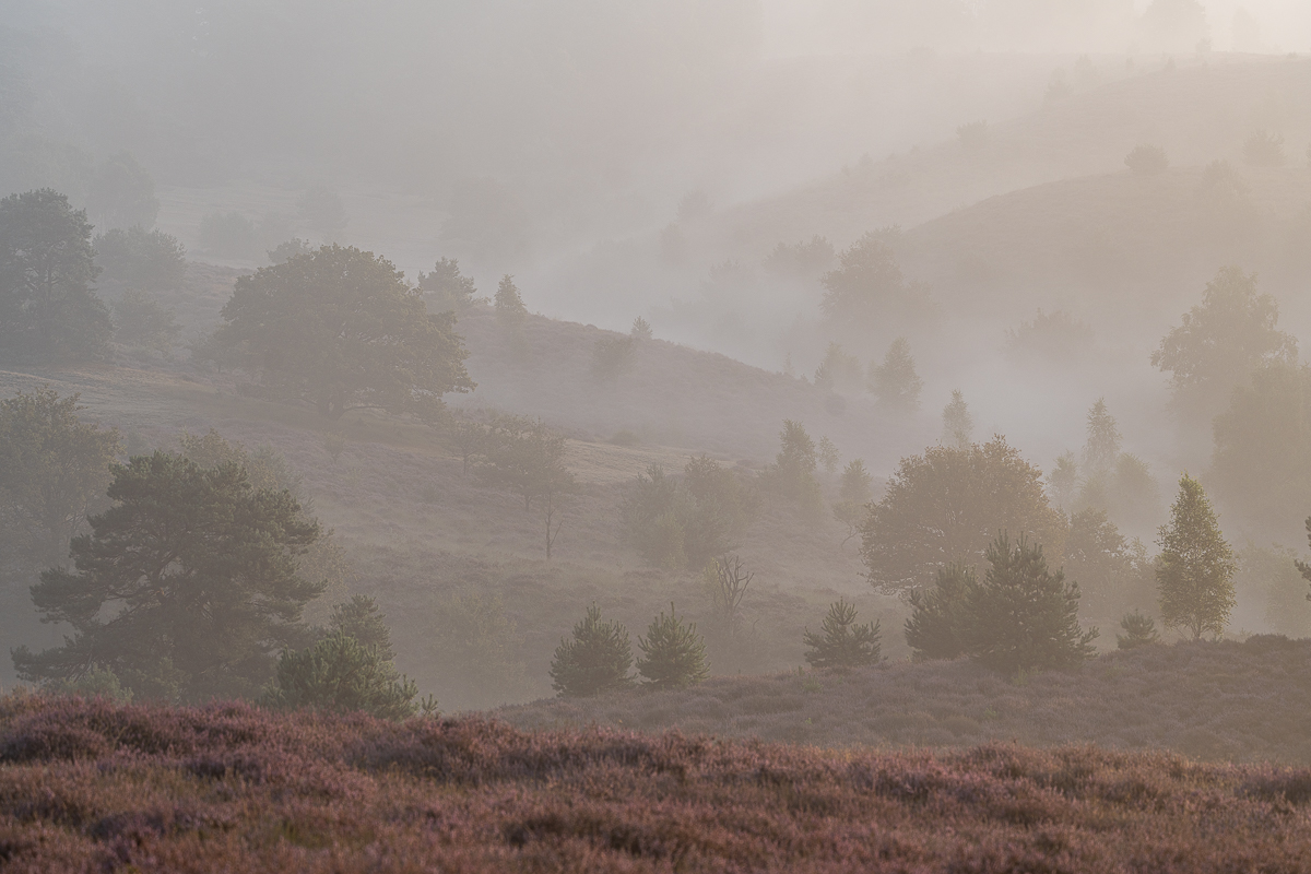 Oplossende lage bewolking