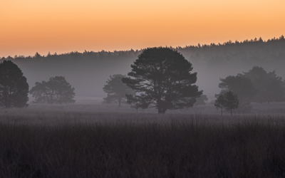 NIEUW in de tas: Sigma 20-200mm. F3.5-6.3 DG Contemporary